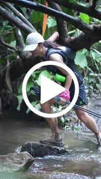 BIB:  <button type="button" onclick="openModal(27824713)" class="btn btn-primary btn-sm float-right" data-toggle="modal" data-target=".modal-high-quality">
                <i class="fa fa-download"></i> Download
                </button>